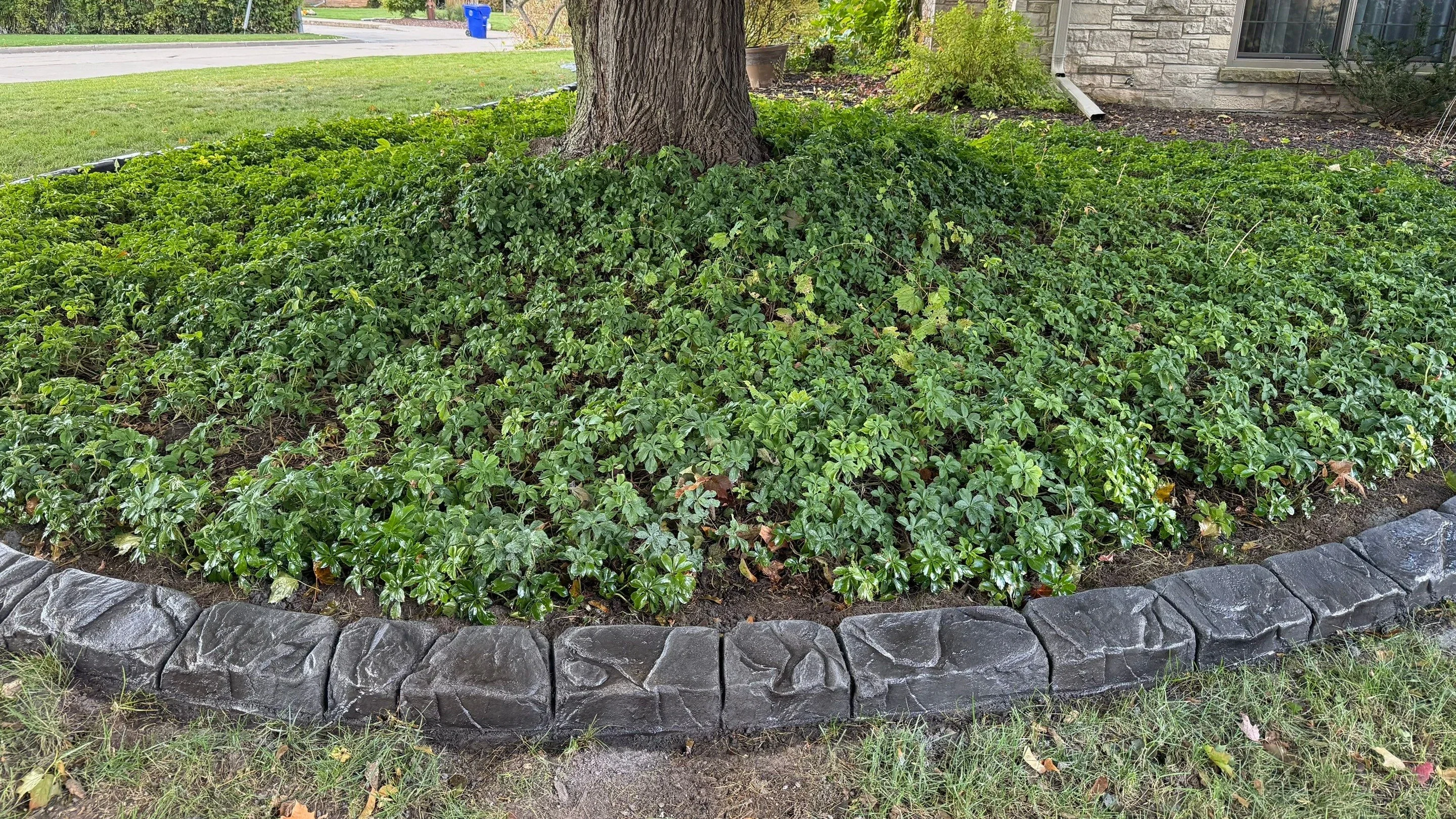 Concrete tree rings and garden border curbing